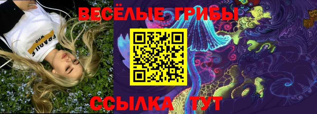 Губаха  Псилоцибиновые грибы MAGIC MUSHROOMS  Вход с VPN  купить наркотики цена  Псилоцибиновые грибы мухоморы 